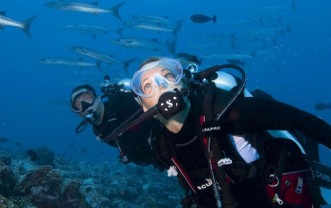 Open Water Diver in Frankfurt