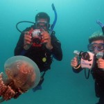 Unterwasser Video