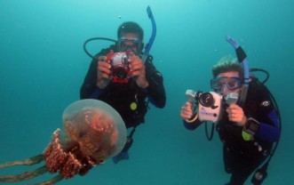 Unterwasser Video