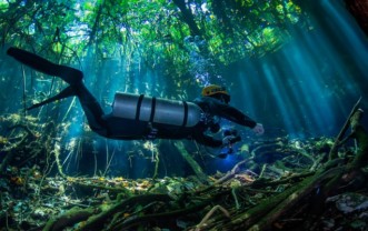 Sidemount