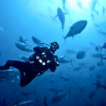 Reise Oasis Marsa Alam 2025