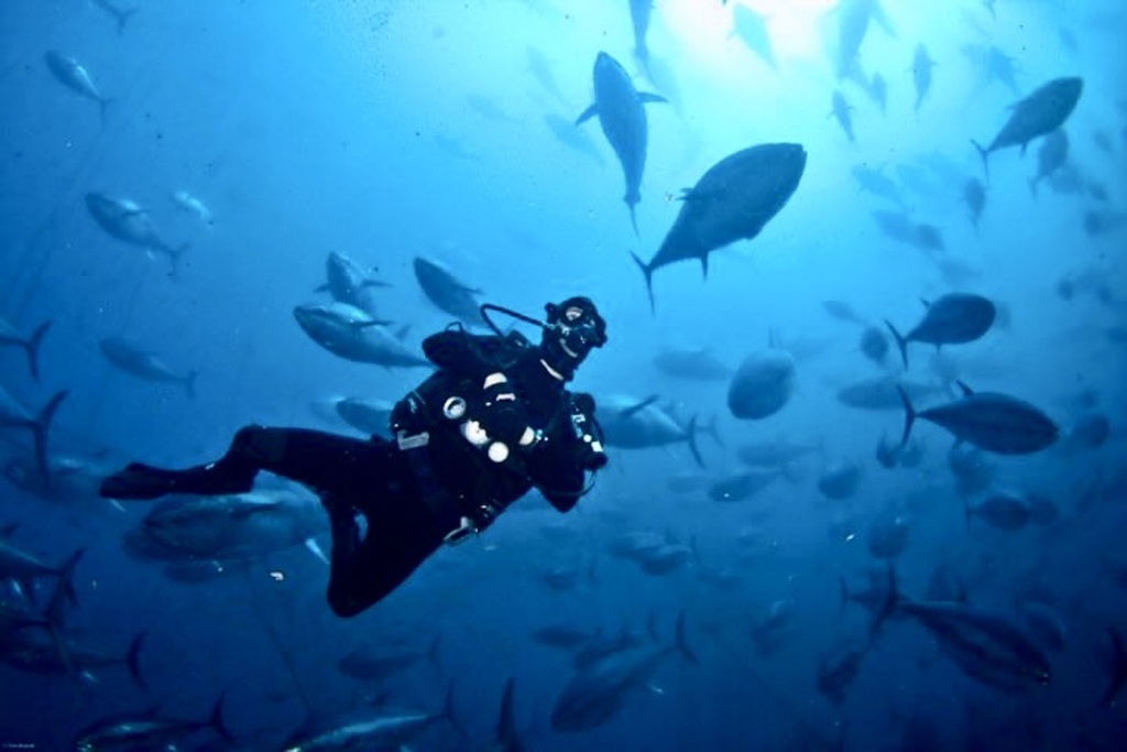 Reise Oasis Marsa Alam 2025