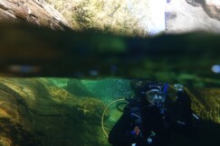 Quirin Schamberger Quirin Schamberger